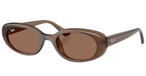 Trends_Mocca-Brille-RayBan